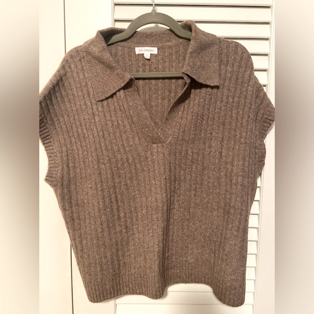 Blu Pepper Brown V-Neck Sweater